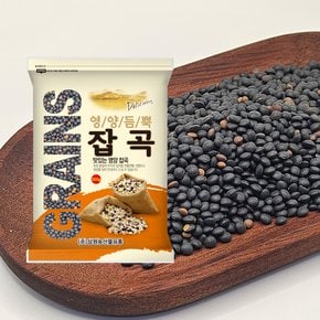 [2025년산] 캐나다산 검정렌틸콩 500g