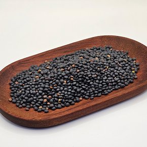 [2025년산] 캐나다산 검정렌틸콩 500g