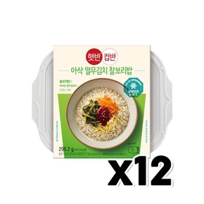 햇반 컵반 아삭 열무김치 찰보리밥 즉석간편조리 295.2g x 12개