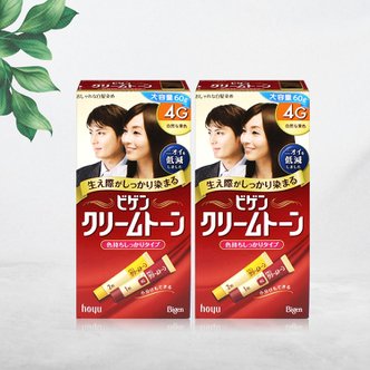 너만아는잡화점 비겐크림톤 염색약 대용량 60g 염모제 자연밤색 4G x 2개