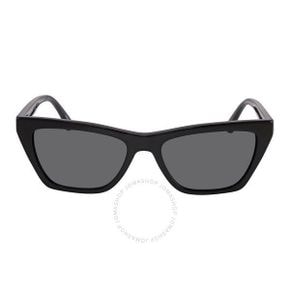 4827835 Emporio Armani Dark Grey Cat Eye Ladies Sunglasses 93152646