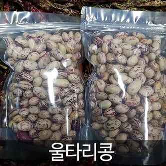 강원더몰 삼생마을 울타리콩(호랑이콩 생냉동) 400g*2