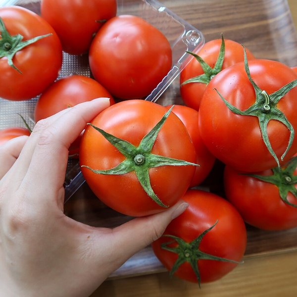 완숙 찰토마토 1kg 중대과