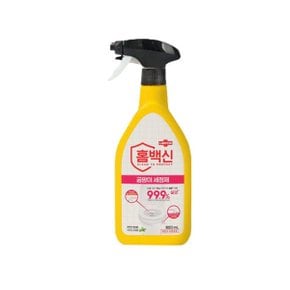 애경 랩신 홈백신 곰팡이제거 세정제 600ml x