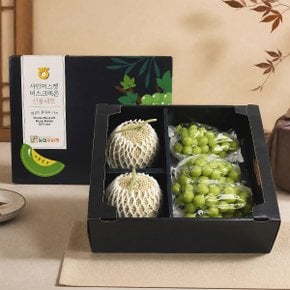 [9/15 순차출고] [농협] 프리미엄 멜론/샤인머스켓 혼합세트5kg이상(멜론2수,샤인2kg3-4수)