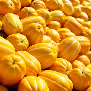 가정용 성주 참외 소과 3kg(15-21과 내외)