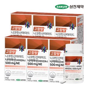 니코틴산아미드 나이아신 비타민B3 500mgNE 6병 (600정)