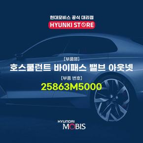 호스쿨런트 바이패스 밸브 아웃넷 (25863M5000)