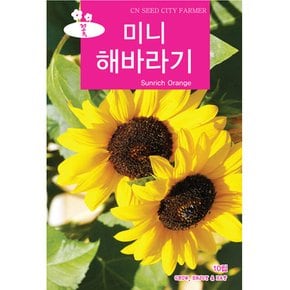 미니해바라기씨앗/ 10립 작은 해바라기 종자