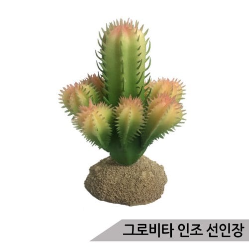 이미지1