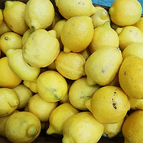 실속형 레몬 60입(대과140g 115과)