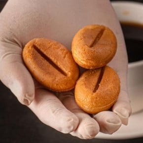 속초 커피콩빵 50개입 플레인맛 카페 커피콩빵 에어프라이어 핑거...