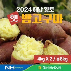 24년 화산농협 해남 황토 햇 밤고구마  8kg(4kg+4kg)[34656916].