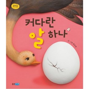 커다란 알 하나 : (꼬까신 아기 그림책 15) [양장]