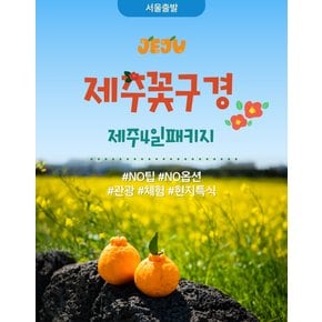 [제주 꽃구경] NO팁, NO옵션 제주도 4일 패키지 유채꽃&수국꽃 관광 체험 현지특식 황금나무와여행친구들