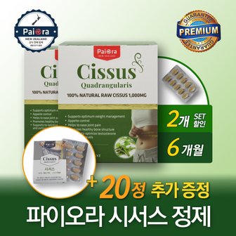 파이오라 시서스 시저스 추출물 1000mg 90정 2개+추가증정