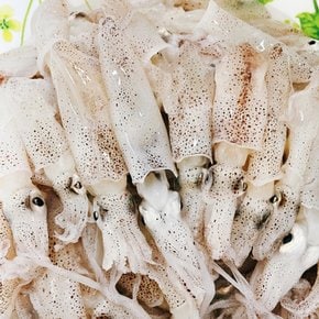 국내산 급냉 호래기 꼴뚜기 500g 숙회용