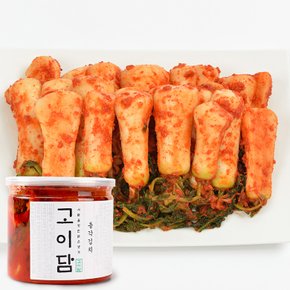 고이담 총각김치 450g (캔김치)