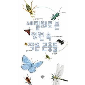 세밀화로 본 정원 속 작은 곤충들
