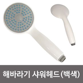 비젼 해바라기 샤워헤드(백색1179) 샤워기헤드 큰샤워