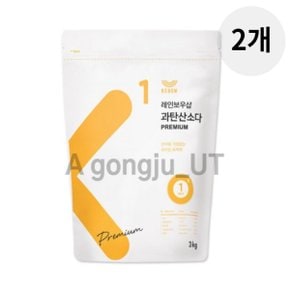 레인보우샵 과탄산소다 프리미엄 산소계표백제 3kg 2p