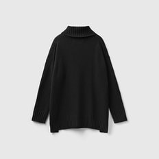 Turtle neck sweater_1244D202H100