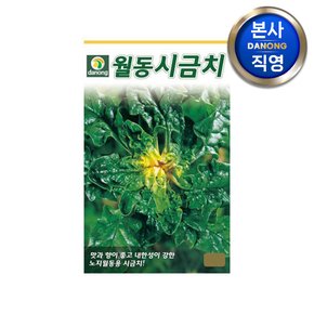 월동 시금치 씨앗 20g . 채소 야채 텃밭 파종 재배 주말 농장 씨 종자