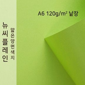종이문화 뉴씨플레인 얇은 양면색상지 120g A6 No.20 풀색 낱장 1매 색지