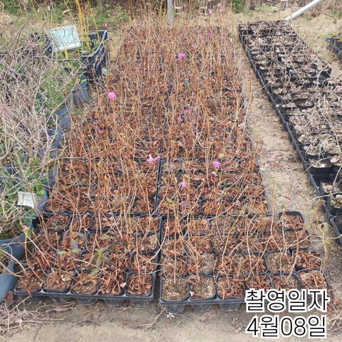 추가이미지