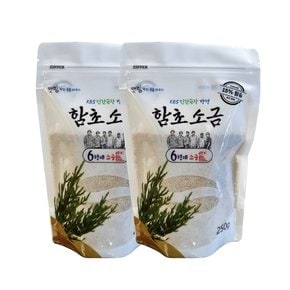 6형제소금밭 맛핌 육형제 신안 천일염 함초소금 250g