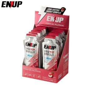 엔업 자전거 파워젤 에너지젤 팔라티노스 복숭아맛 45g x14포 BCAA  러닝 러너 마라톤 보충제