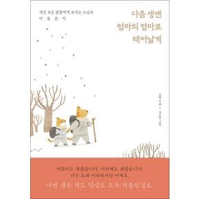 다음 생엔 엄마의 엄마로 태어날게 - 세상 모든 딸들에게 보내는 스님의 마음편지