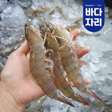 바다자리 [산지직송]신안 활새우 1kg 새우구이 국산새우 37-45미