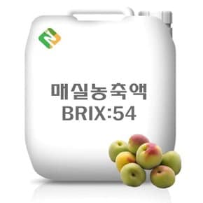 매실농축액 20kg (WCDBBB9)