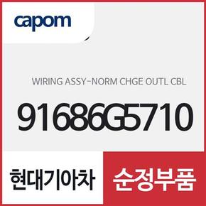 노말 차지 아웃넷 케이블(H 와이어링 (91686G5710) 니로 전기차