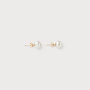 Signature Polkadots Earrings, 14K Gold (NH006S)