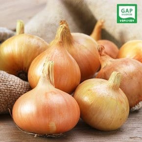 품질보장 국내산 무안 햇 양파 10kg (소)