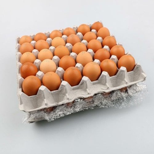 이미지 P