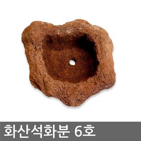 화산석화분(6호) 천연석화분 돌화분 자연석 다육화분