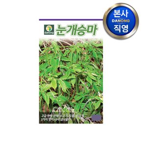 눈개승마 씨앗 50g . 채소 야채 텃밭 파종 재배 주말 농장 씨 종자