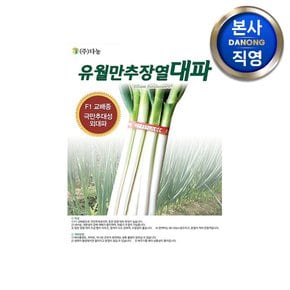 유월만추 장열 대파 씨앗 80g . 야채 채소 텃밭 파종 재배 F1 외대파 종자