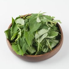 자연맛남 신선한 지리산 취나물 500g