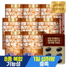 로얄 프로폴리스 플라보노이드 20 8개월분 (240캡슐) 8종복합기능성