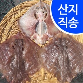 [임피수산]국내산 반건조 간제미 1.8kg 10마리(20cm/마리)/군산산지 직배송