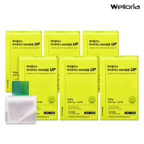 케어플러스 파이토맥스 NMN필름 UP 6박스 (180매)