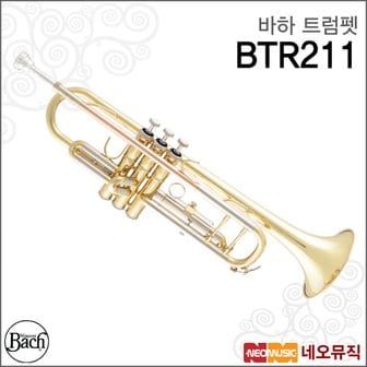 바하 트럼펫 Bach Trumpet BTR211 Bb / 골드 / 입문용