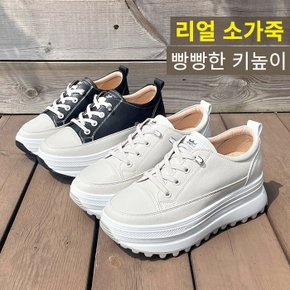 로이튼 소가죽 통굽 밴딩끈 키높이 스니커즈(5cm)