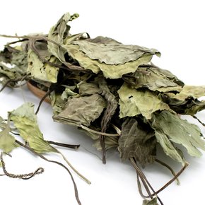 국산 차전초 600g 질경이 차
