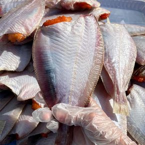 영덕 손질 반건조 참가자미 중 8마리(마리당105-130g/2미씩포장)