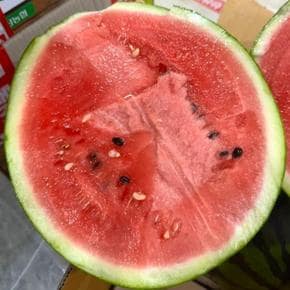 고당도 꿀수박 5kg내외 하우스 수박 아삭달콤한 맛있는 수박 (S42236509)